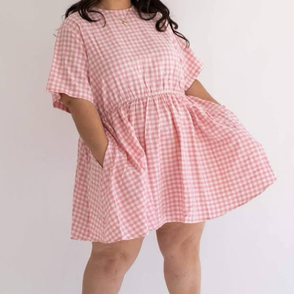 Shiny by Nature Pink Gingham Dress